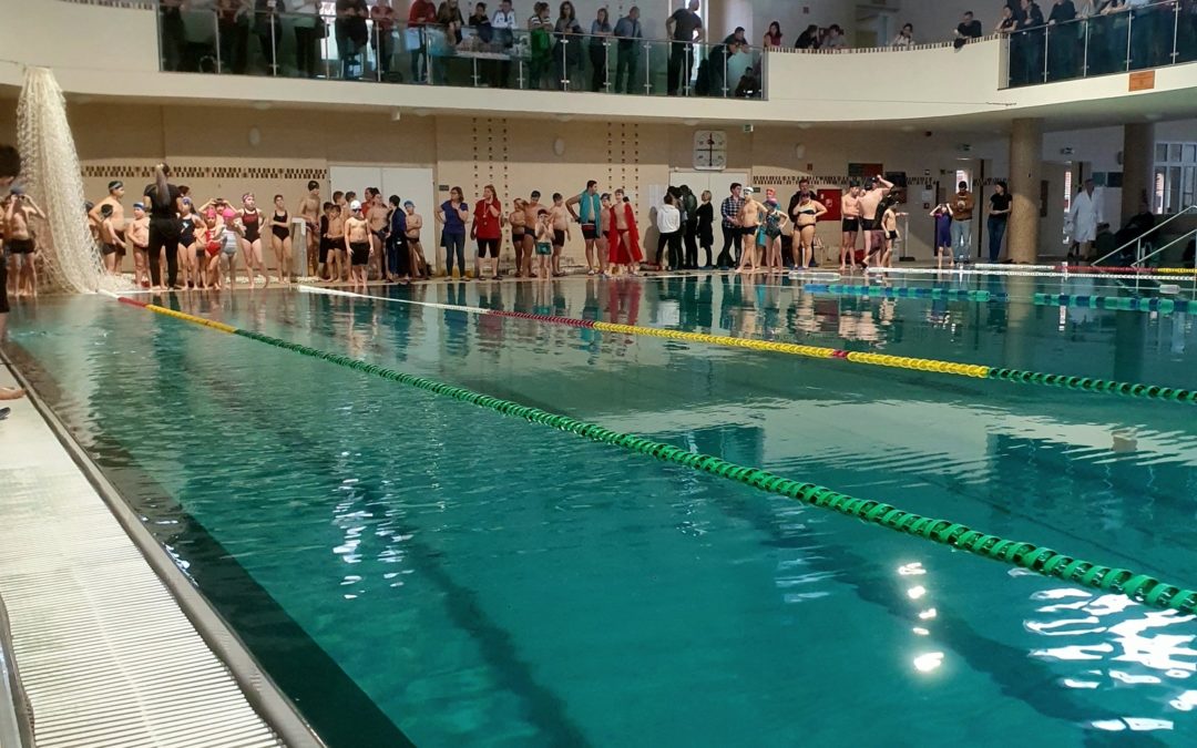 MIKULÁS SPRINT – Házi úszóverseny